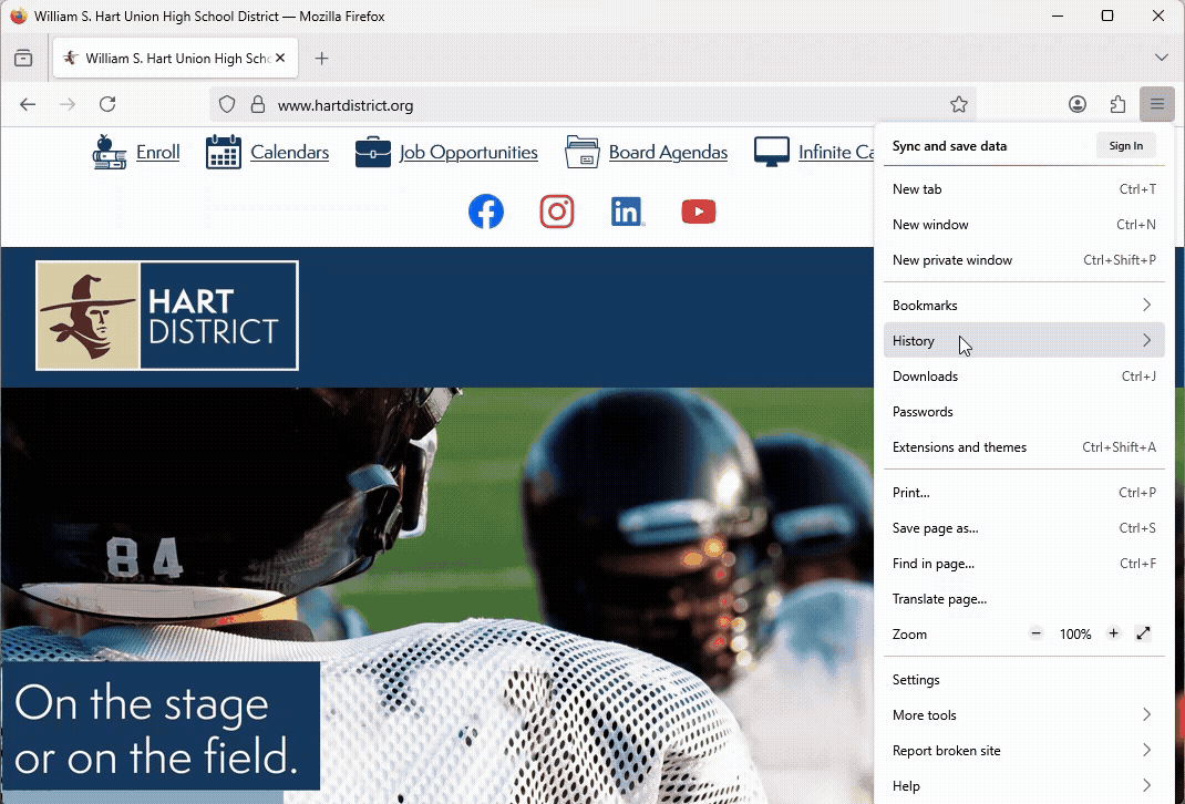 Firefox Clearing Browsing History.gif
